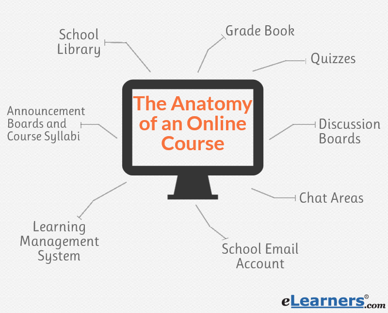 Learn Anatomy Free Online